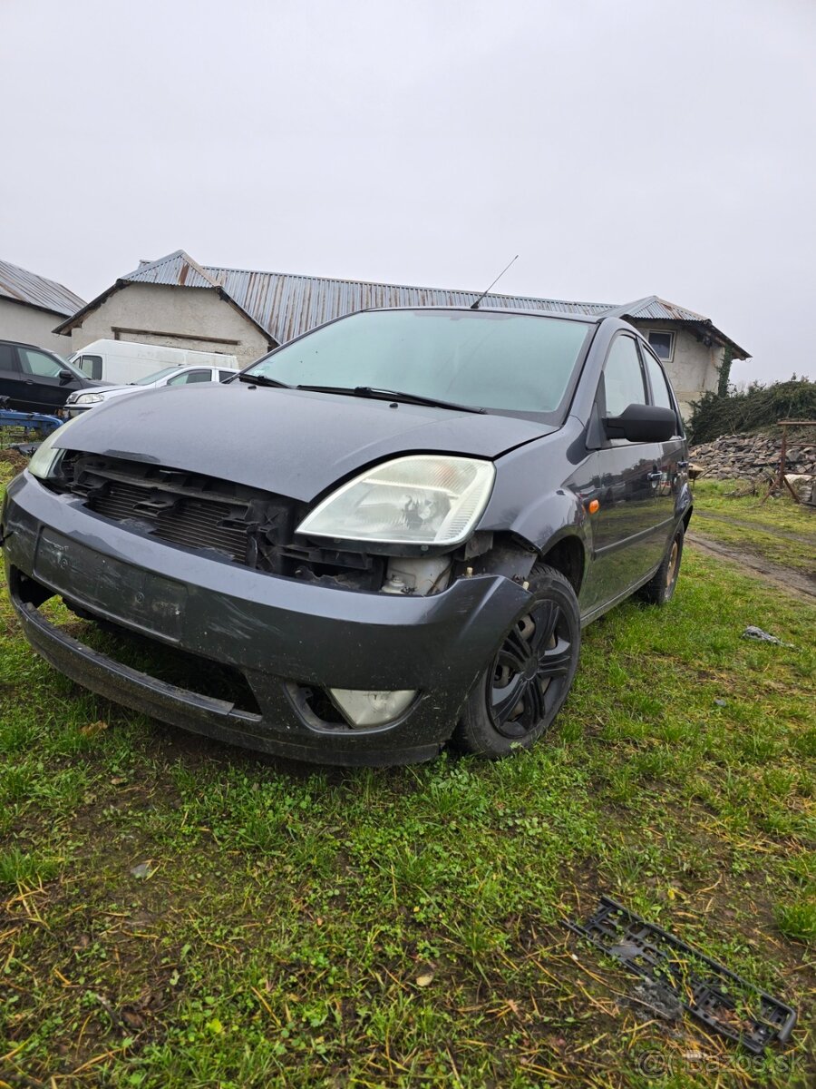 ford fiesta