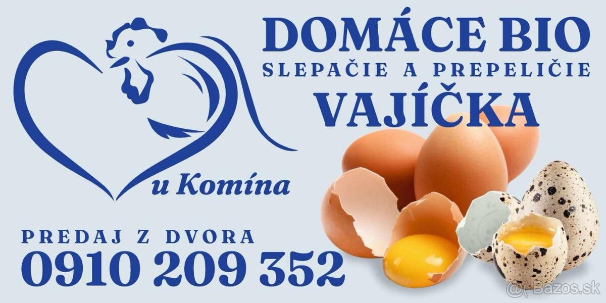 Domáce vajicka