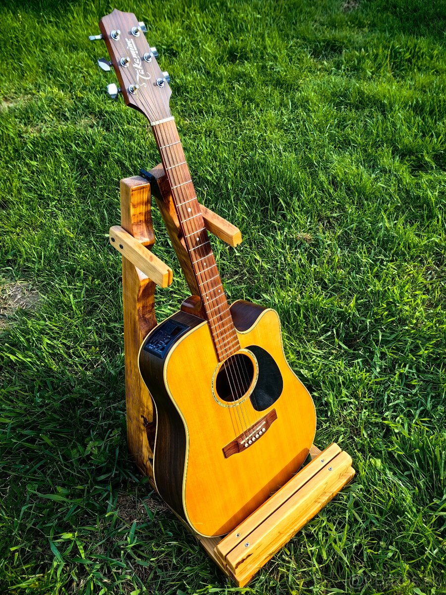 Takamine eg330sc NS, elektroakustická