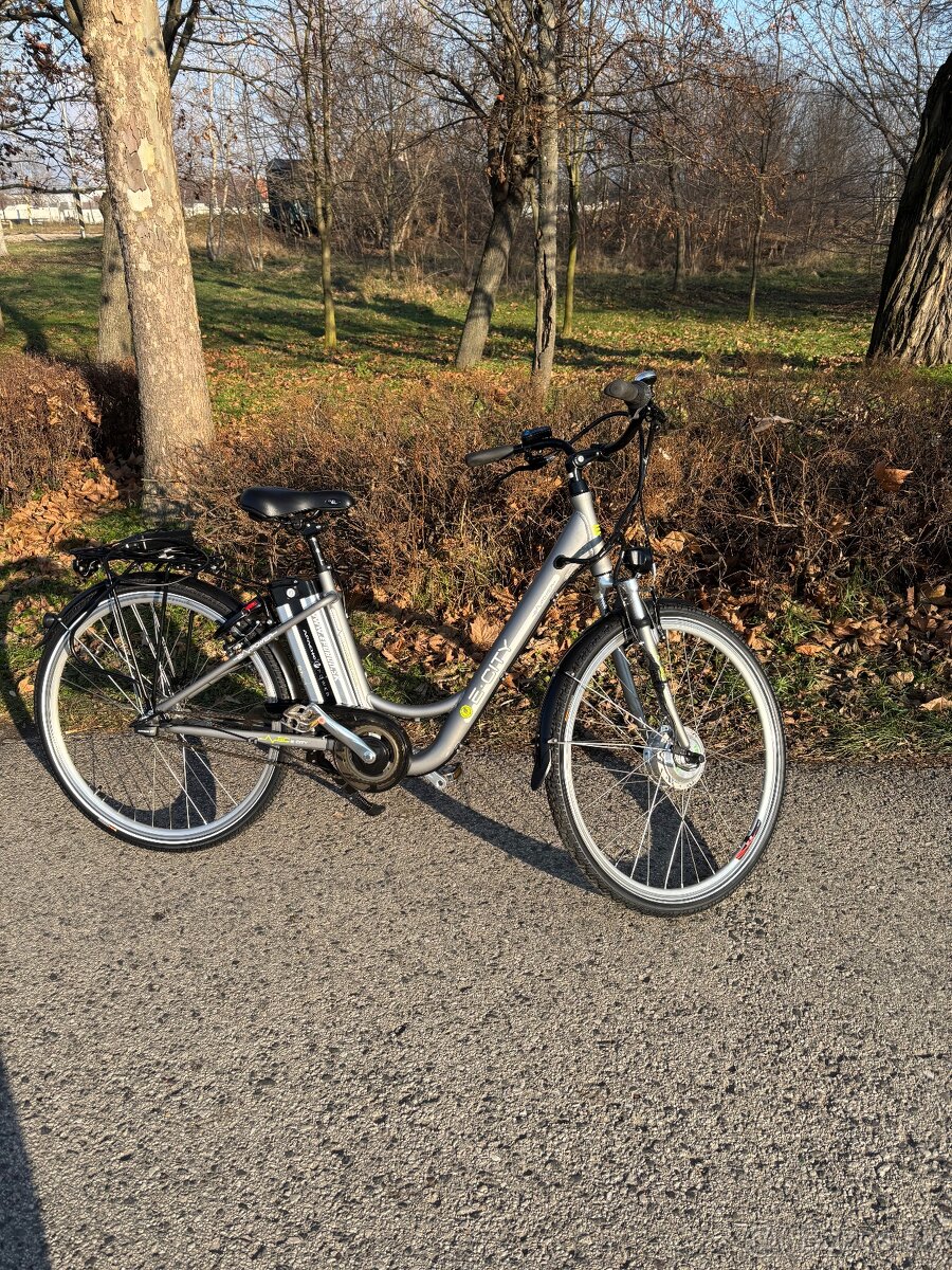 elektricky bicykel ebike