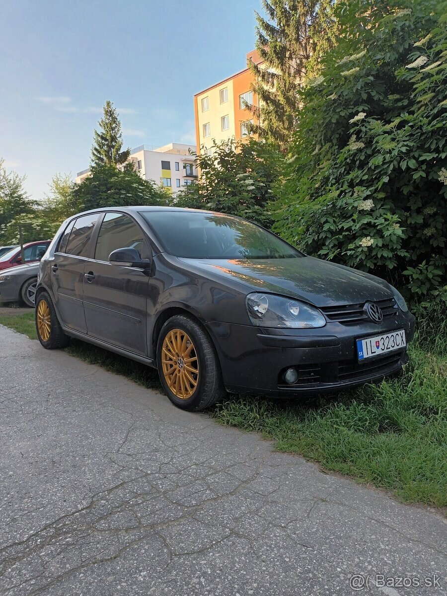 VW Golf V 2.0TDi