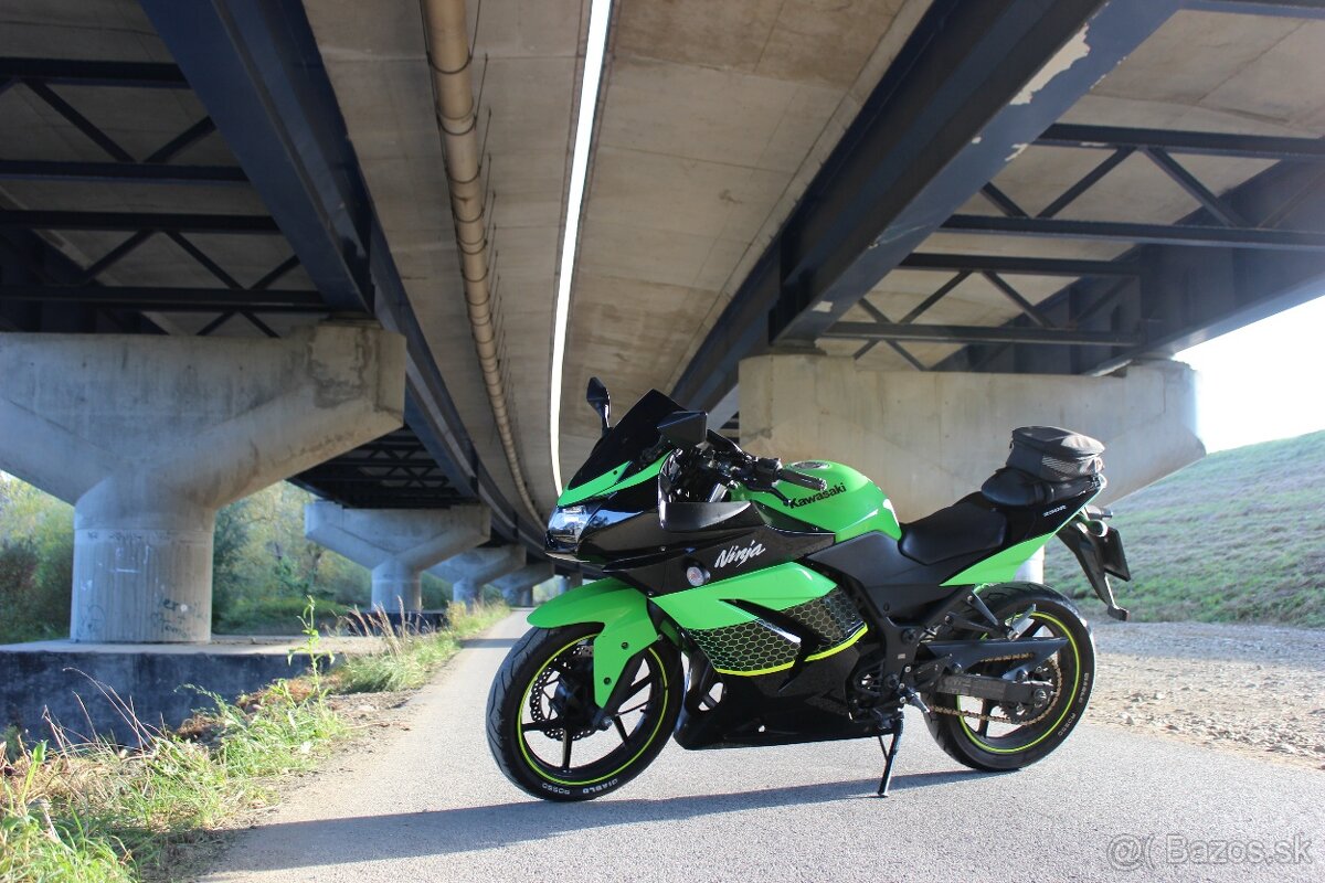 Kawasaki Ninja 250R