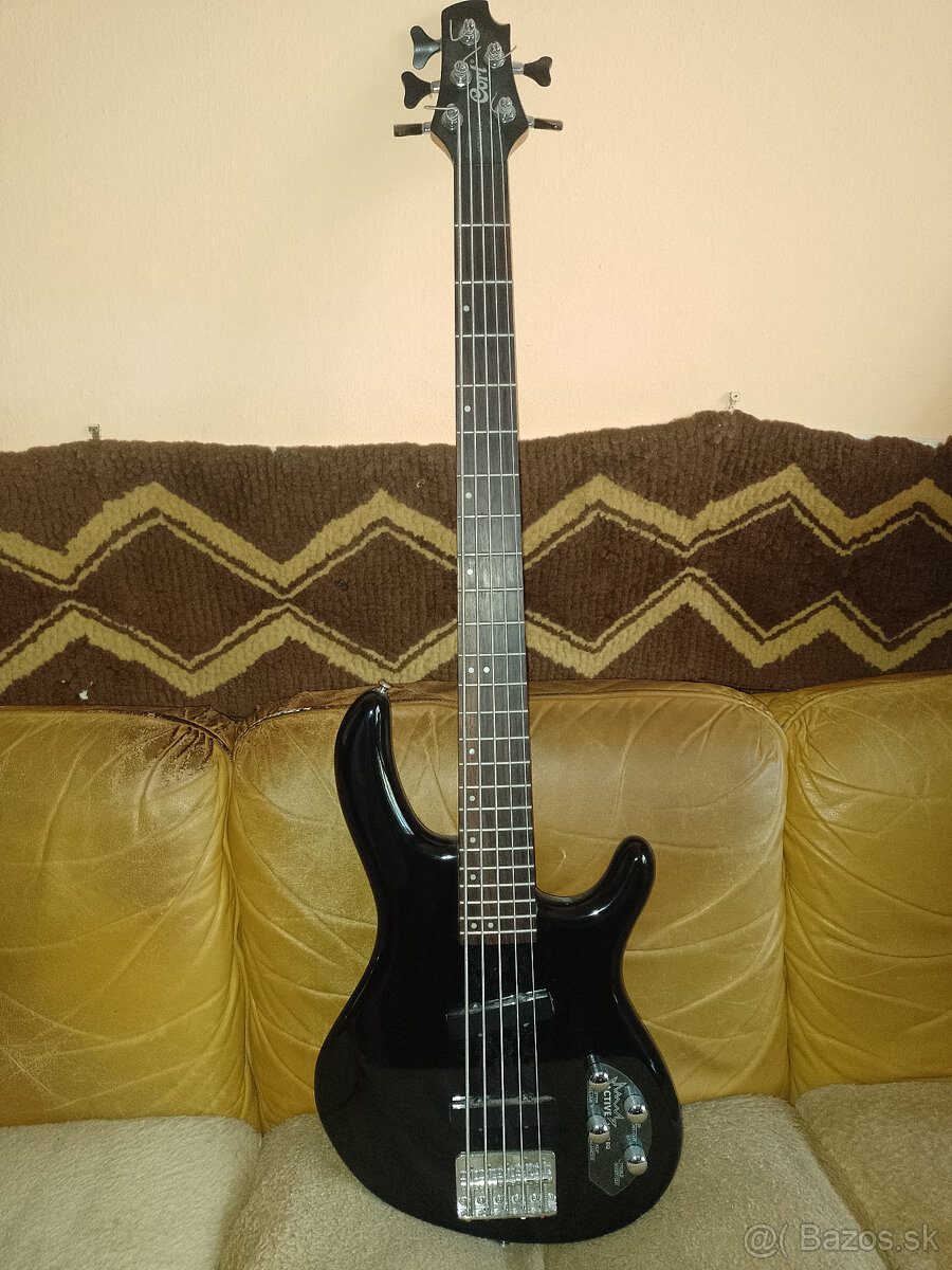 5str. bass gitara