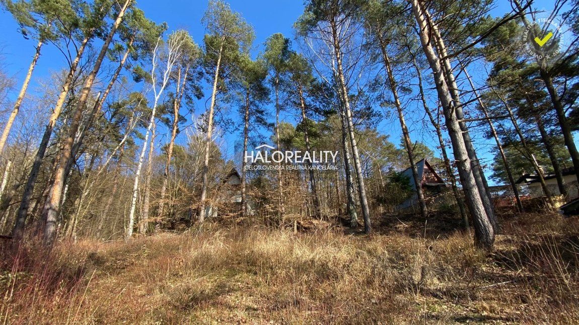 HALO reality - Predaj, rekreačný pozemok Nová Kelča