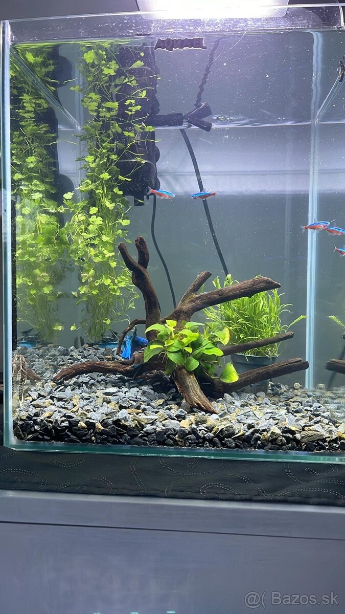 Akvarium