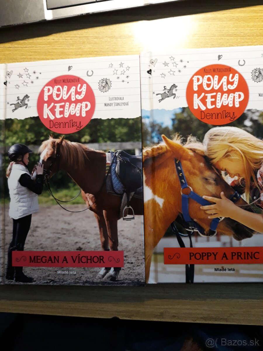 Séria Pony Kemp Poppy a princ, Megan a víchor