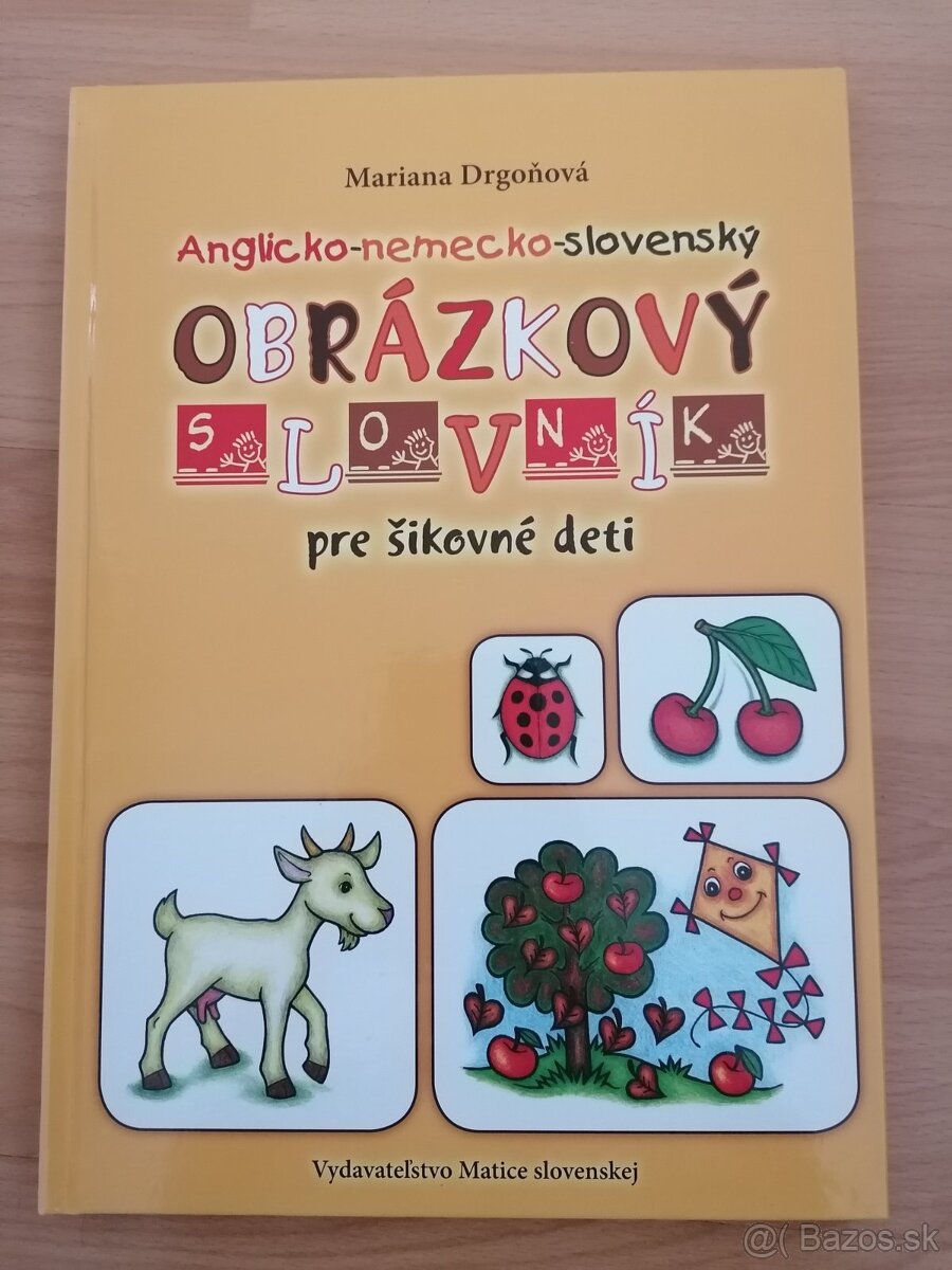 Obrázkový slovník (SLO-NEM-ANG)