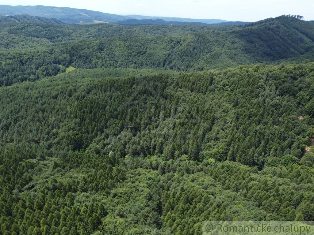 Na predaj les - lesný pozemok 6,75 ha - Osadné