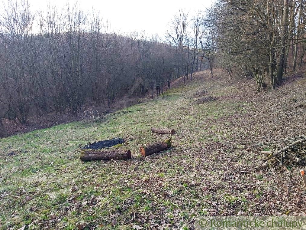 Pozemok obkolesený lesom nad Nimnicou na relax v prírode