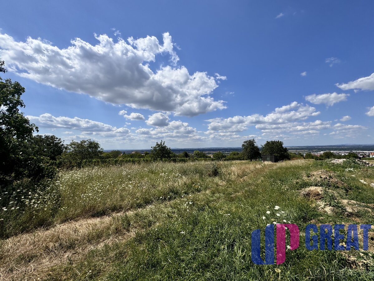 Predaj pozemku 2573 m2 na výstavbu vinohrad. domu, SKALICA