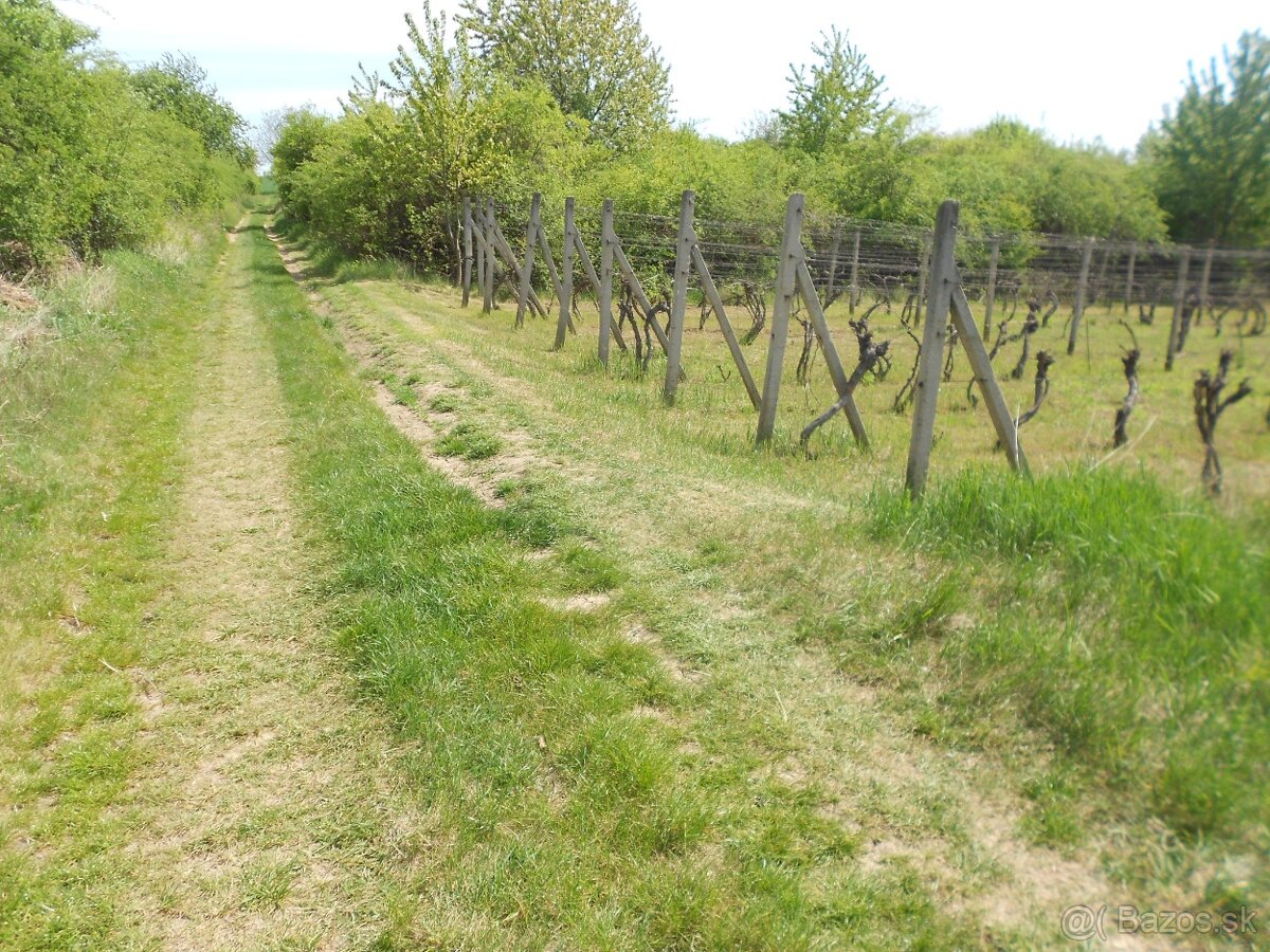 záhrada - vinica okr.Nitra, 916m2, Žitavce ,blízko Nitry,