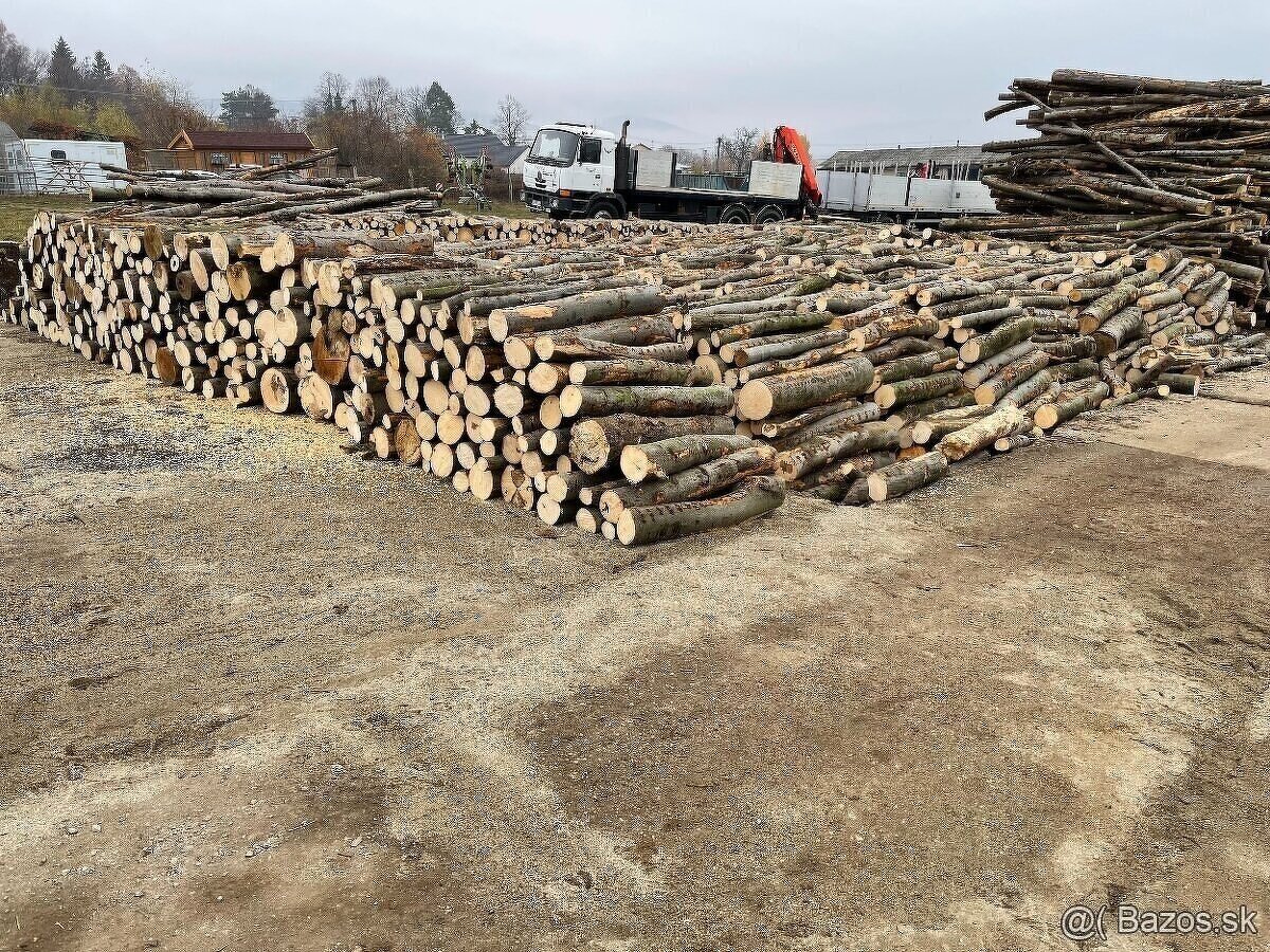 Predám palivové drevo metrovicu 10 metrov