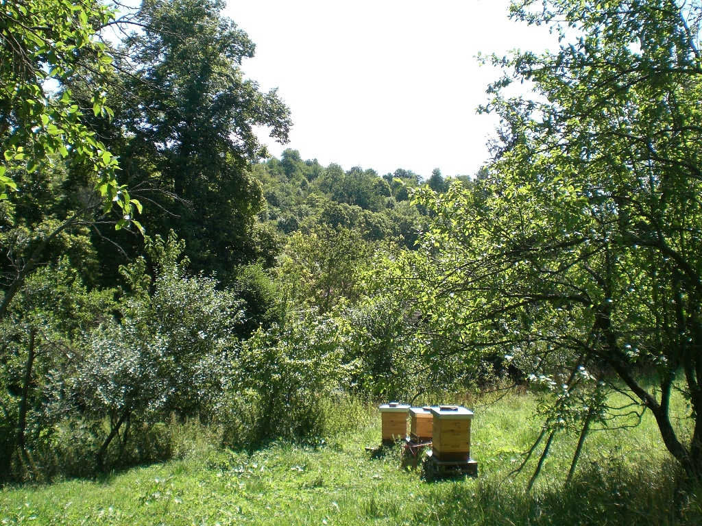 STAVEBNÝ POZEMOK PRI POTOKU 1963 m2 BRESTOVEC okres MYJAVA