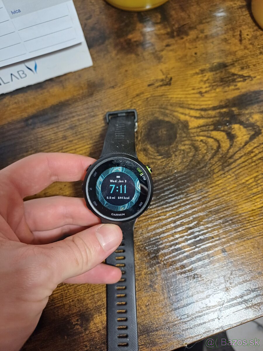 Garmin 45