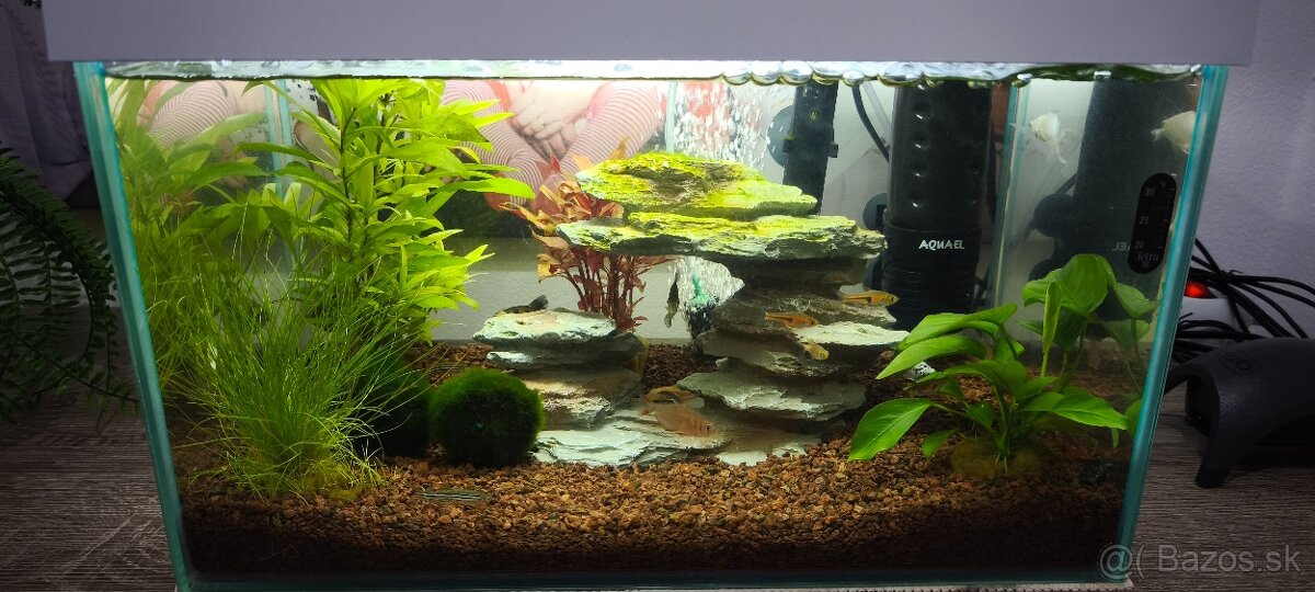 Komplet akvarium