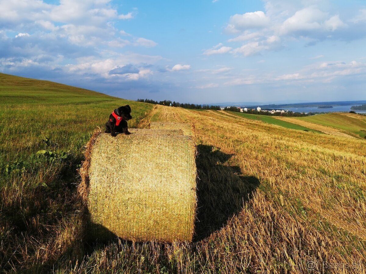 Na predaj pozemok Oravská Jasenica (2095 m2)