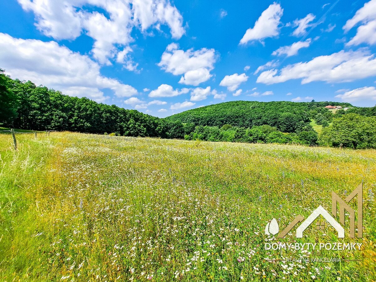 Veľkorysý, 2,5 ha pozemok v Krupine - časť Kopanice