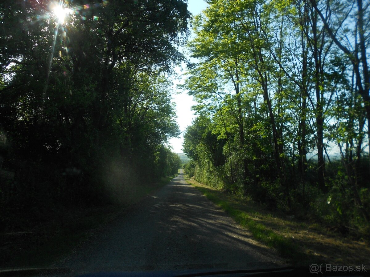 rekreačná záhrada s vinicou-Vráble ,Žitavce