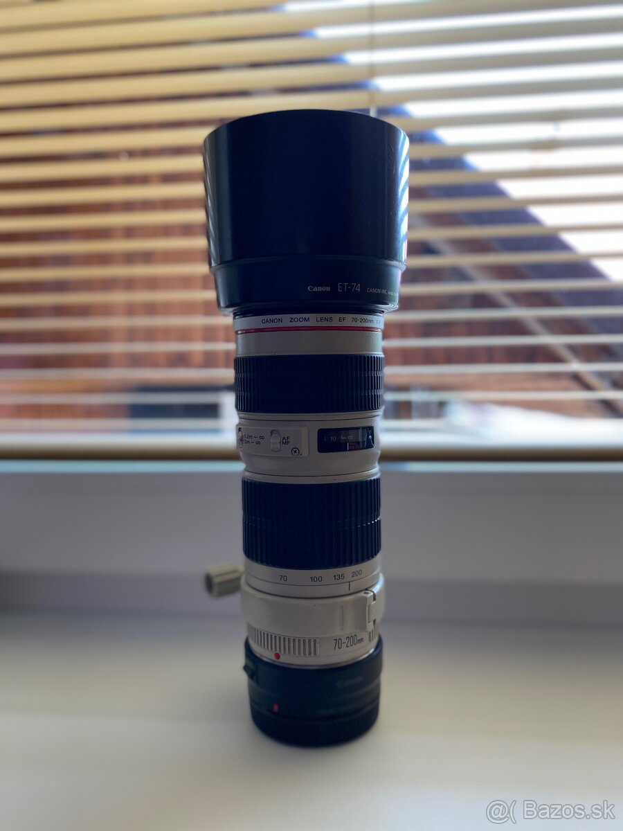 Canon EF 70-200mm f/4 + Canon mount EF-EOS R