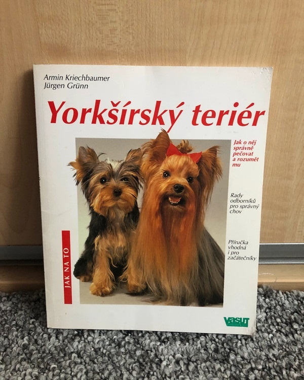 Yorkšírský teriér - Jak na to