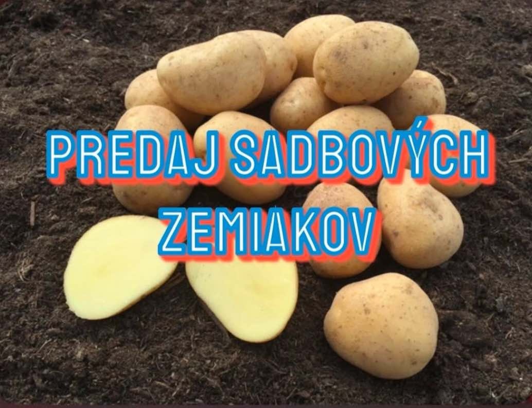 Sadbové zemiaky