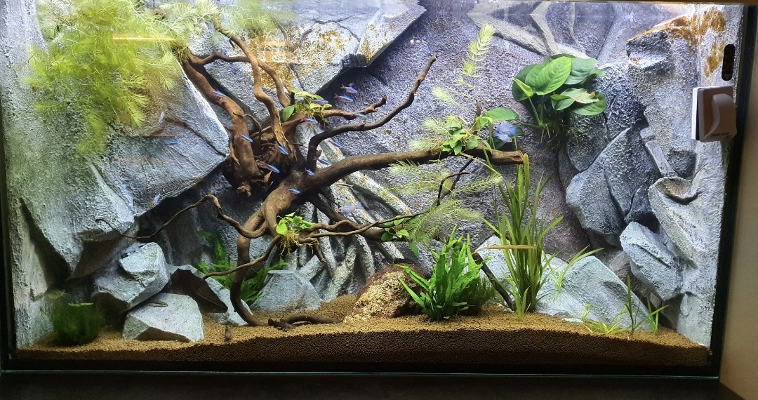 Predam Akvarium Terarium