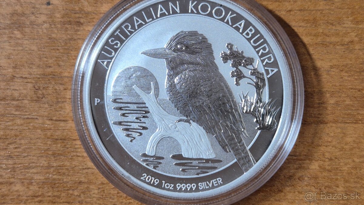 Kookaburra 2019