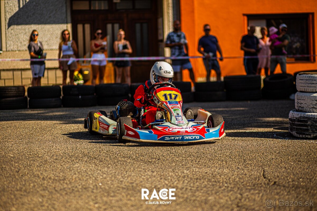 motokára Birel Easykart 100 ccm (24 koní 15000 ot./min)