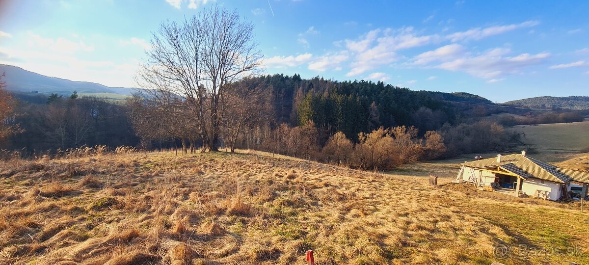 Predám stavebné pozemky v Púchove- časť Vieska Bezdedov