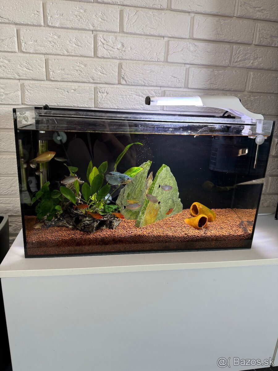 40L komplet zariadené akvarium