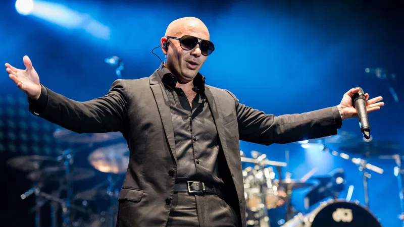 Pitbull Hamburg