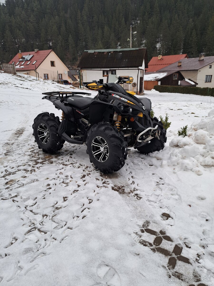 Can am renegade 800r