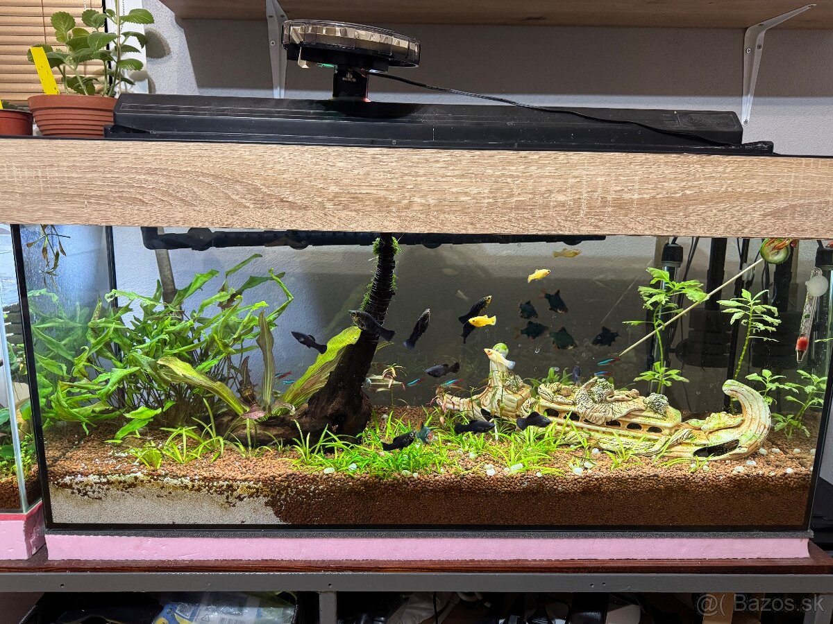 Akvarium 100l