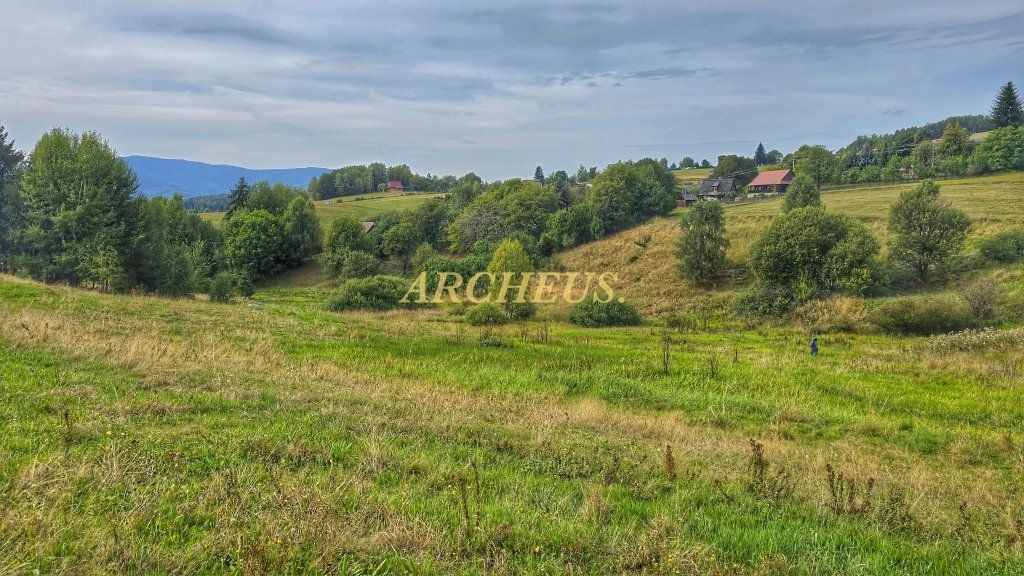 ROZĽAHLÝ REKREAĆNÝ POZEMOK, DETVIANSKA HUTA - BRATKOVICA