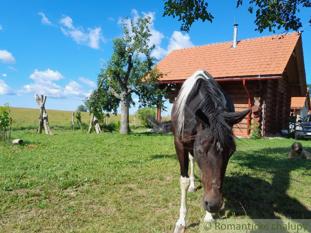 NOVÁ CENA -Váš vysnívaný zrub v pokojnom prostredí lazov