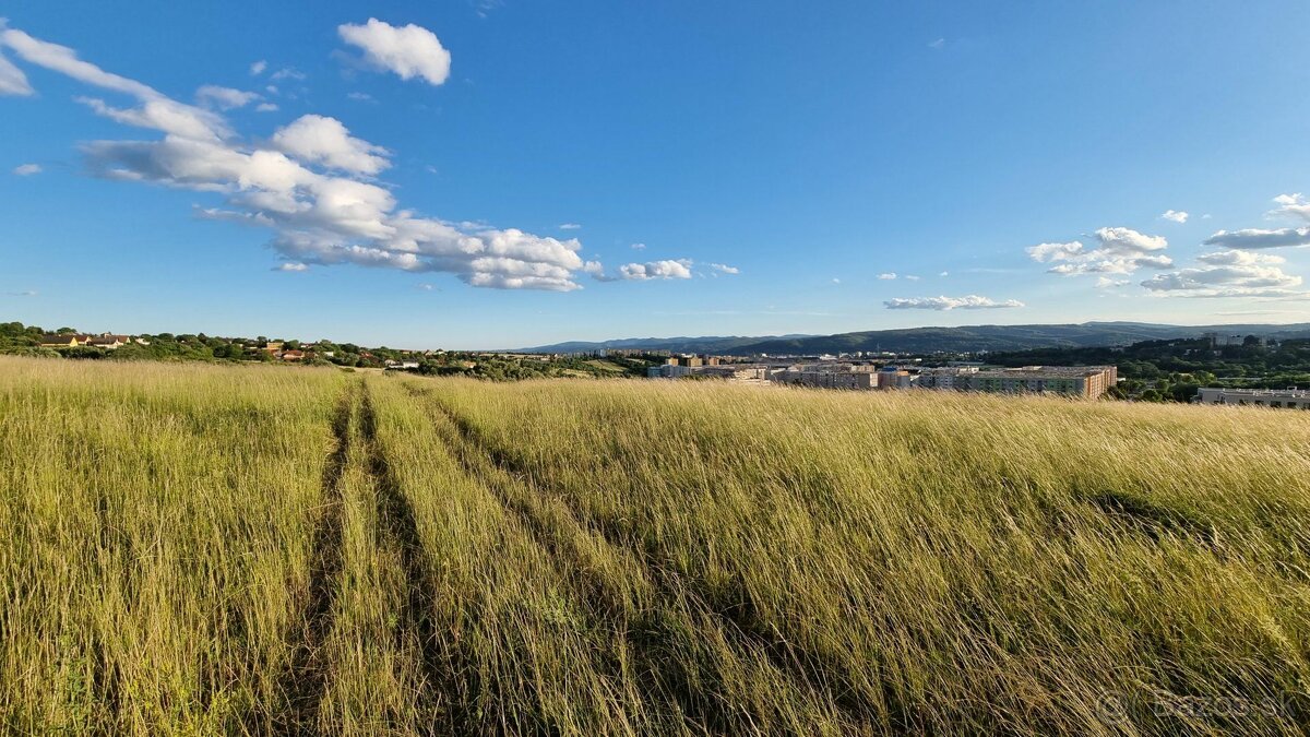 Investičný pozemok s rozlohou 10795m2, Ľubotice