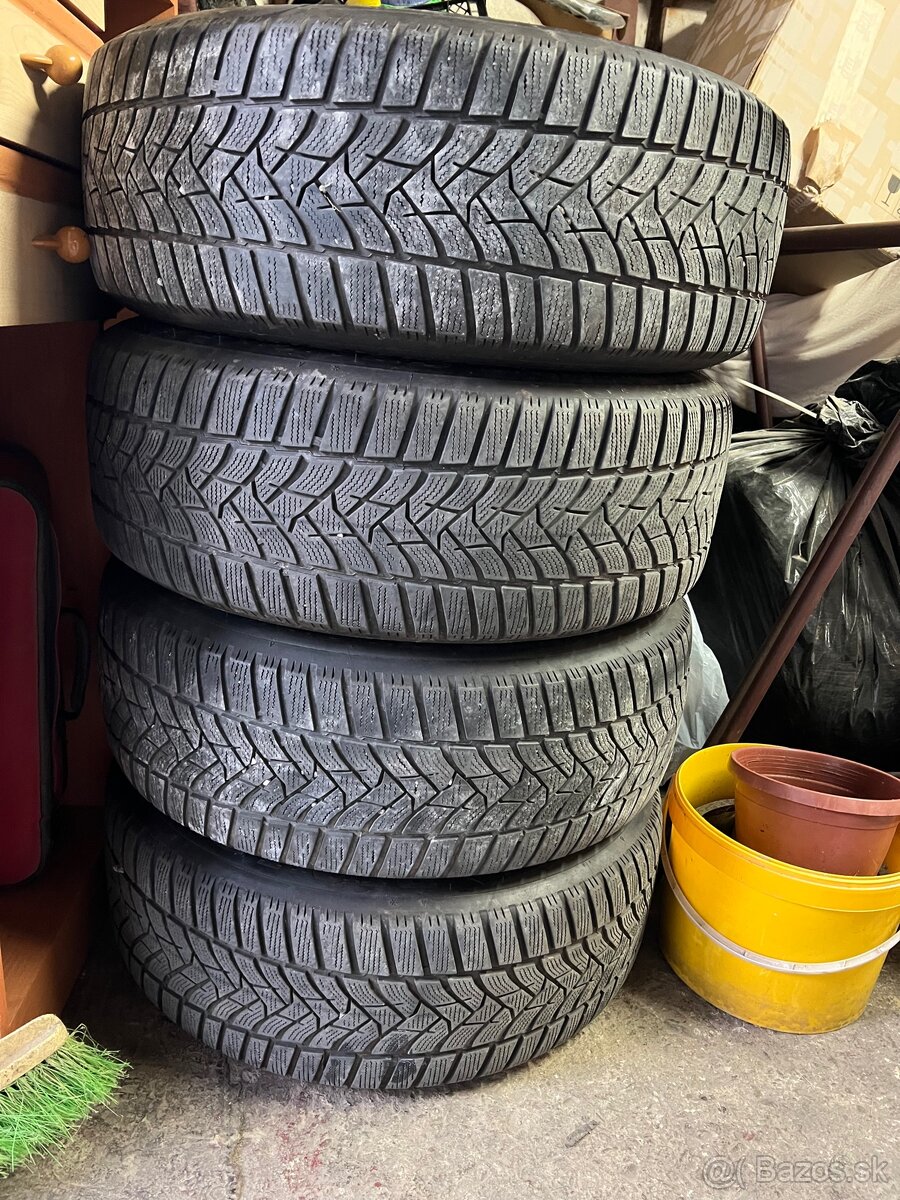 Dunlop winter sport 225/55 R17