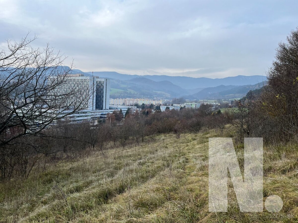 NEWCASTLE │Exkluzívne Na predaj orná pôda s veľkým potenciál