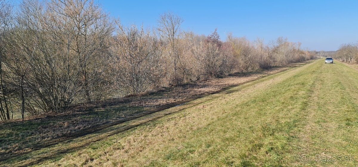 Pozemok pri rieke "Citenka" rieka Nitra v obci Černík