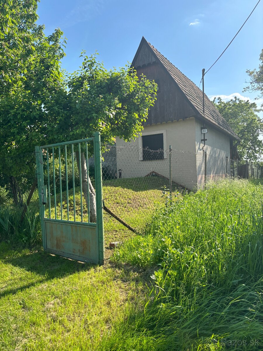 Predaj, Podlužany, Viničný domček s vinohradom