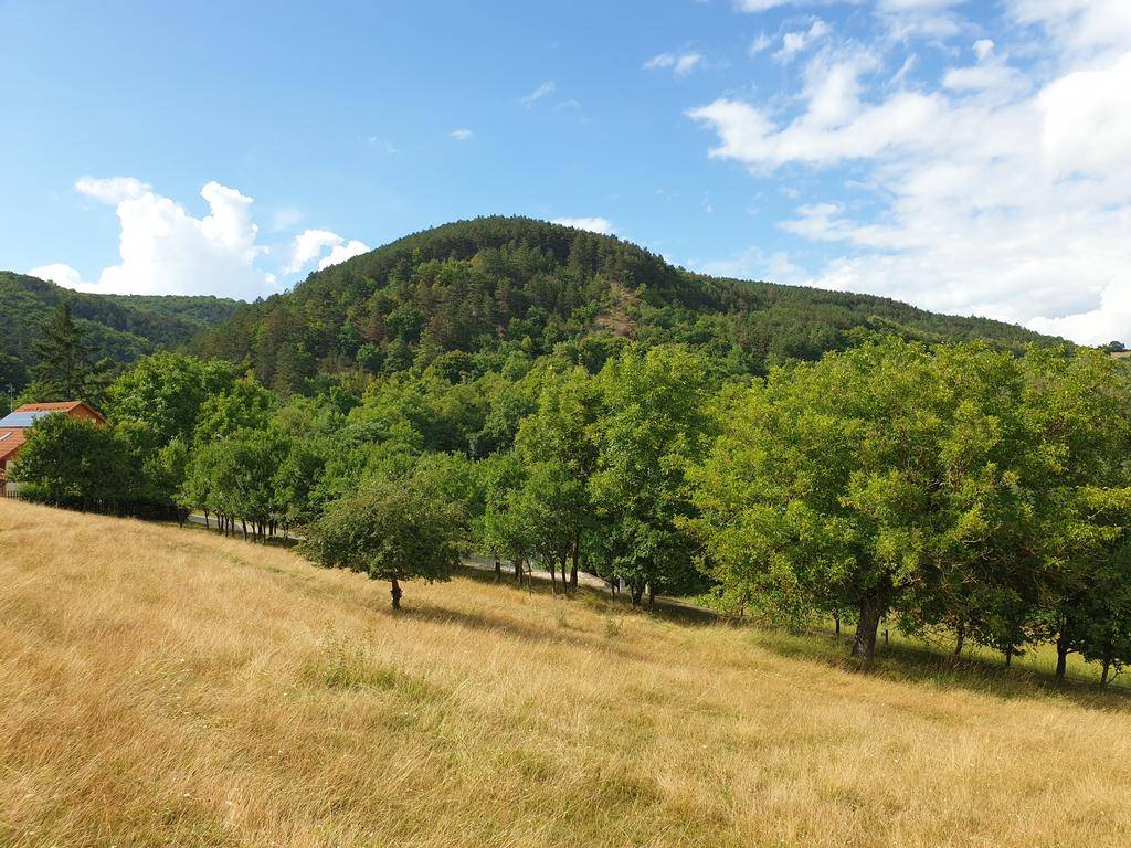 Orná pôda 2 x 6.000m2 v obci Prašník. okr. Piešťany