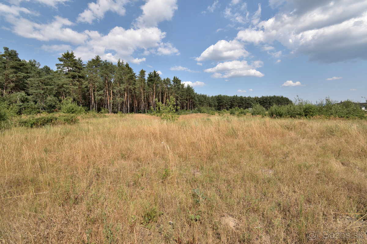 Lukratívny pozemok na predaj 15.691m2, Závod - okres Malac