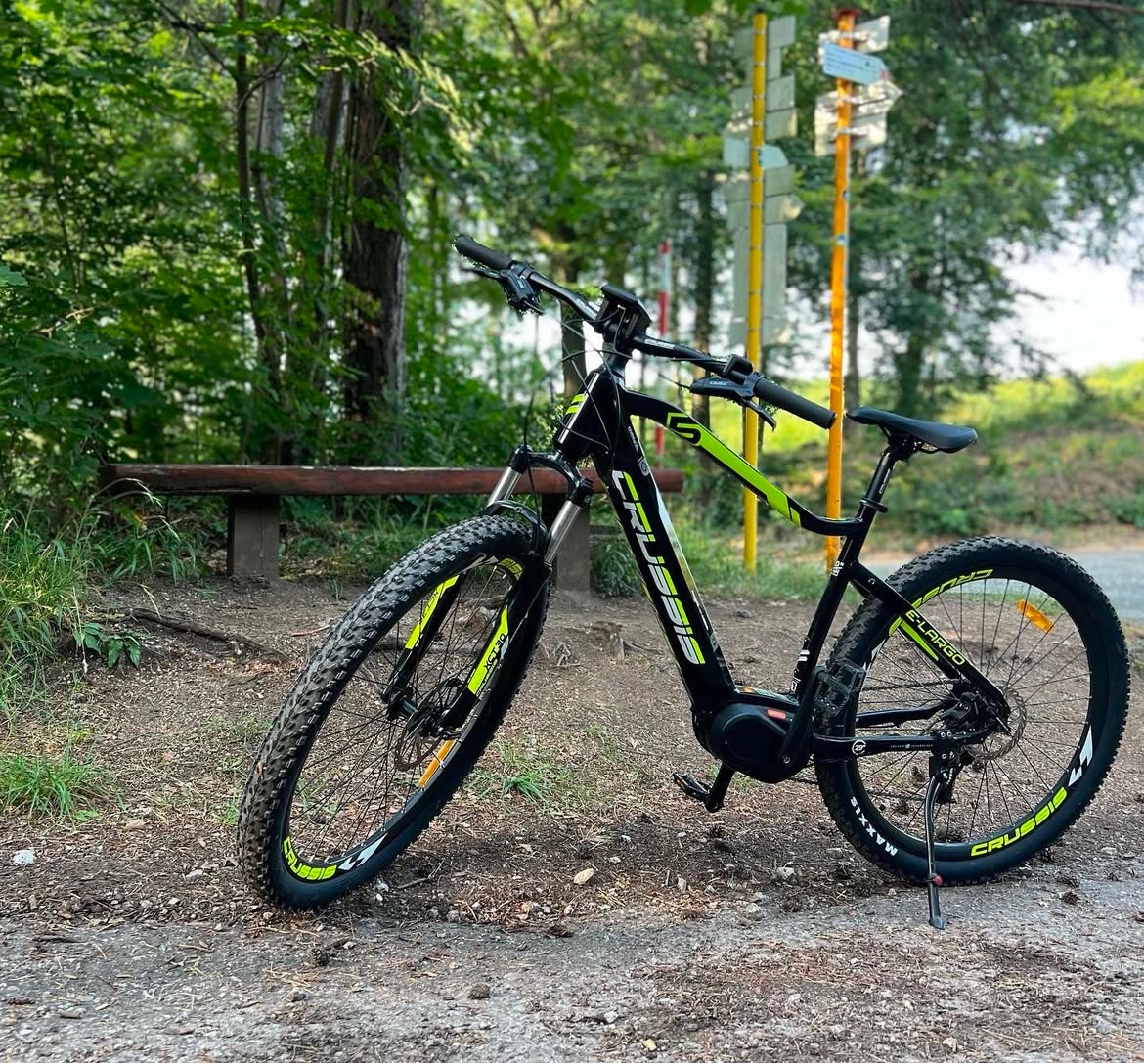 E-bike crussis