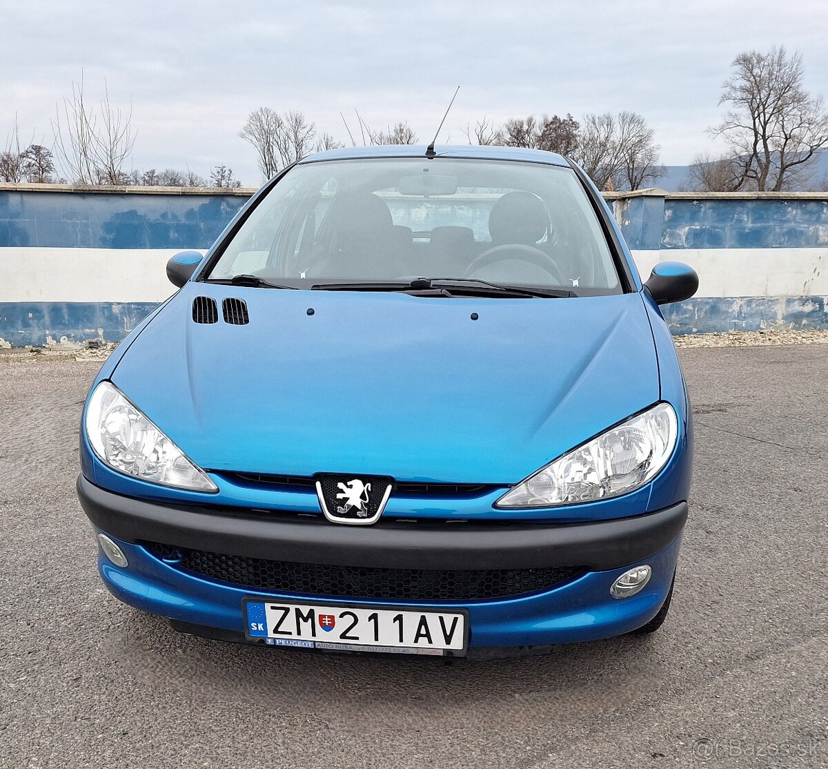 Peugeot 206 Benzín