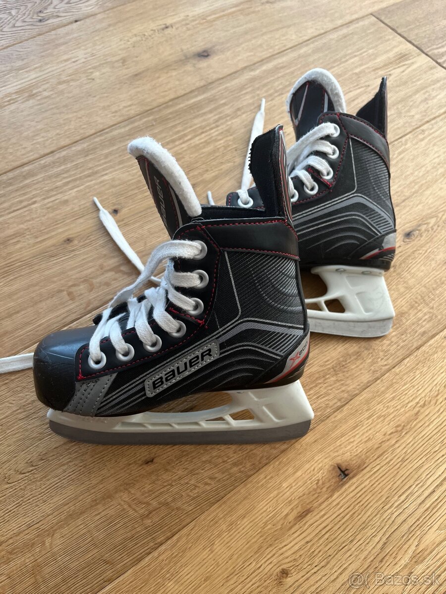 Bauer 10Y