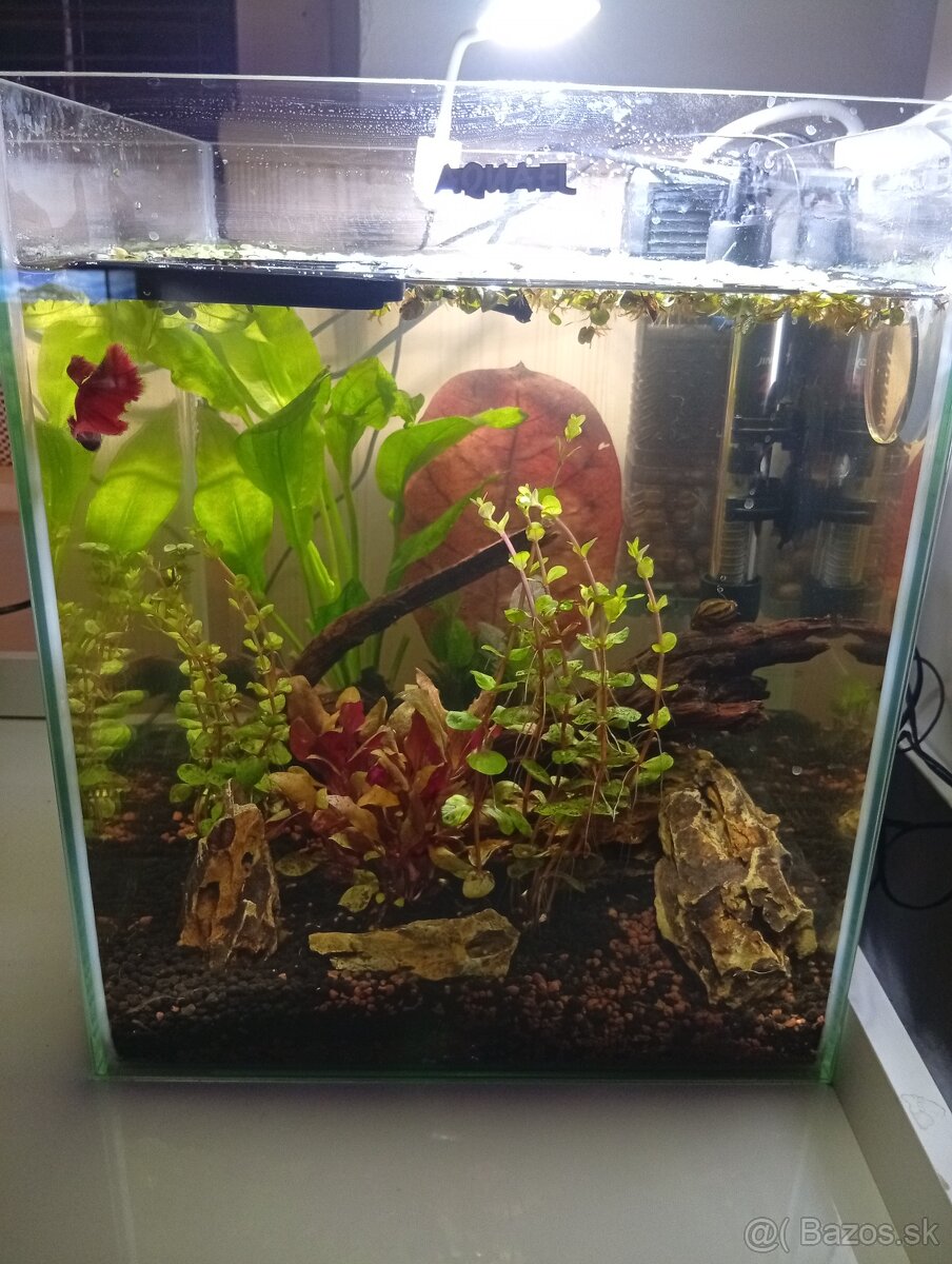 Nano akvarium 30l