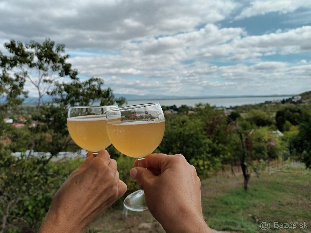 Pozemok v blízkosti pláže a kempu Kaluža - PRIAMO VLASTNÍK