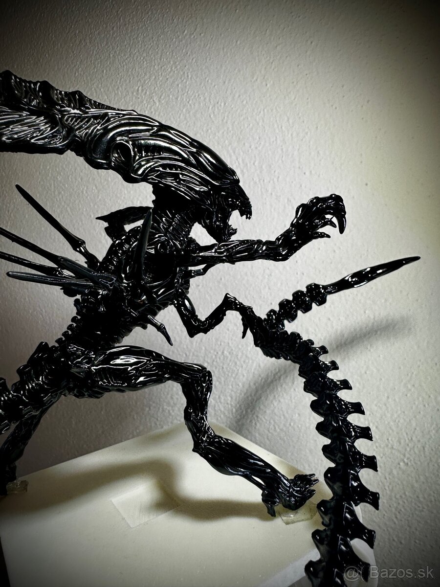 Xenomorph