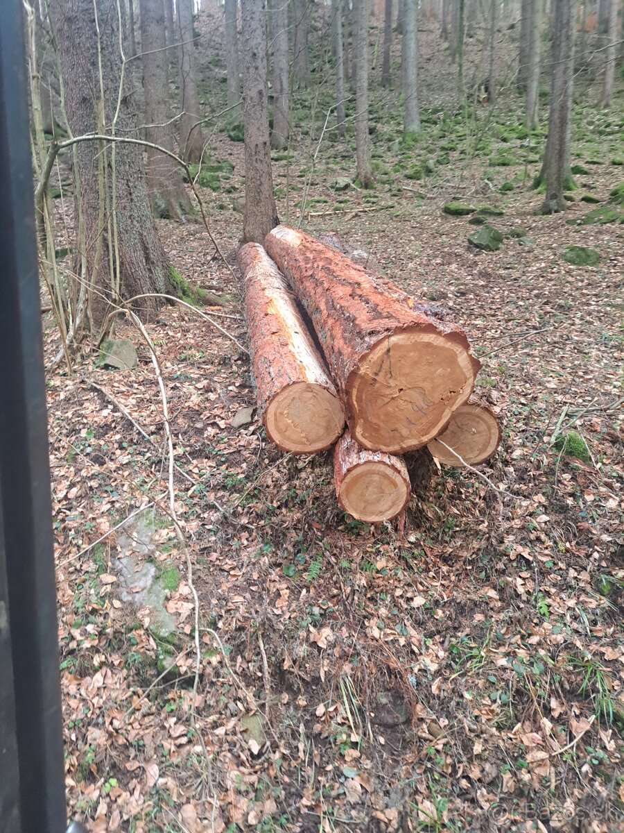 Predám čerstvo narezané fošne