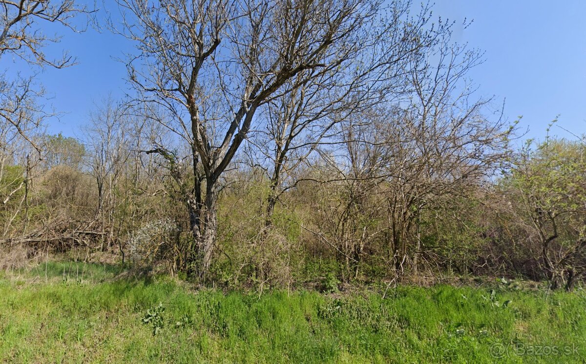 Na predaj pozemok Malý Kiar - v blizkosti kúpaliska Margita